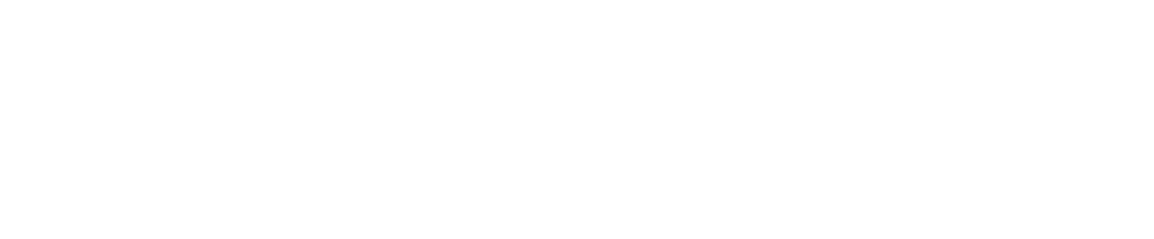 VelocityFund